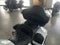 2025 Indian Pursuit Dark Horse w/PowerBand Audio Ghost White Base