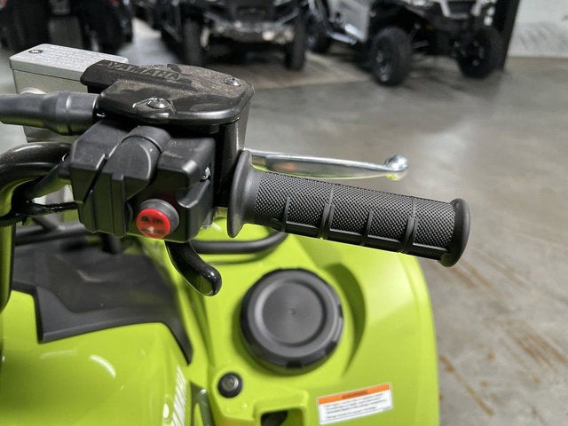 2026 Yamaha Grizzly EPS Base