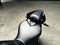 2025 Yamaha YZF R7