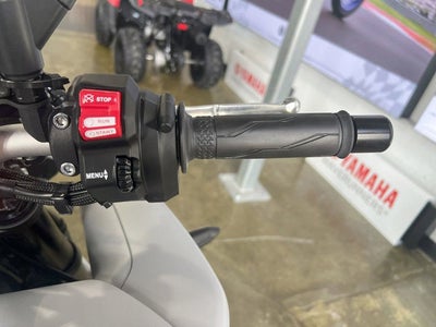 2025 Yamaha MT 10