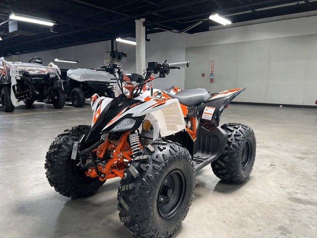 2026 KAYO Predator 110 Base