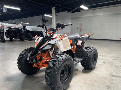 2026 KAYO Predator 110 Base