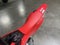 2026 Honda CRF 125F