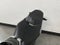 2024 KTM 790 DUKE Base