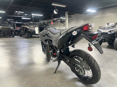 2025 Kawasaki KLX 230SM ABS