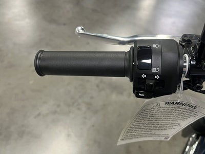 2025 Kawasaki W 230 ABS