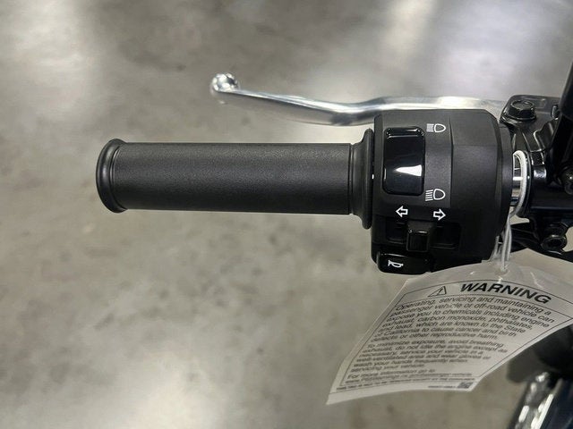 2025 Kawasaki W 230 ABS