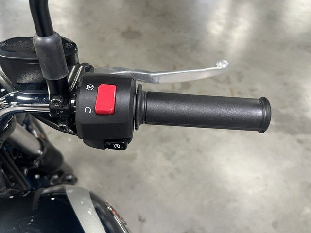 2025 Kawasaki W 230 ABS