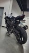 2024 Kawasaki Ninja 500 Base