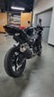 2024 Kawasaki Ninja 500 Base