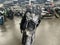 2023 Kawasaki Z900 ABS Metallic Black/Graphite Gray/Flat Black Base