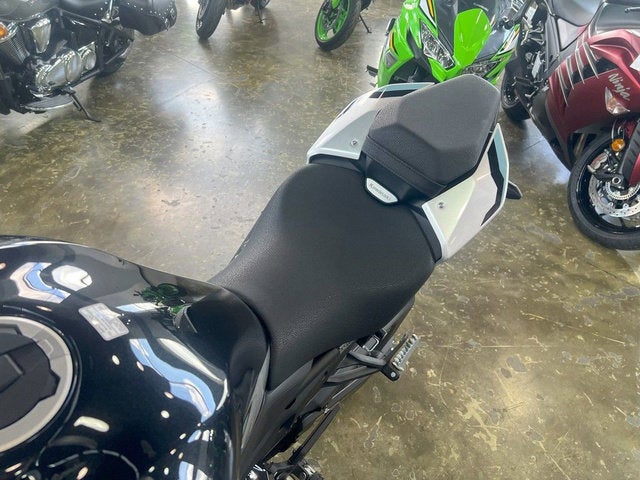 2025 Kawasaki Z900 ABS Galaxy Silver/Metallic Spark Black Base