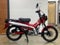2025 Honda Trail125 Base