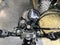 2026 Honda Trail 125