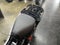 2026 Honda Trail 125