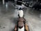 2025 Honda Rebel 500 ABS Base
