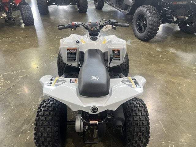 2026 Can-Am Renegade 70 EFI Base