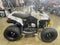 2026 Can-Am Renegade 110 EFI Base