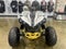 2026 Can-Am Renegade 110 EFI Base
