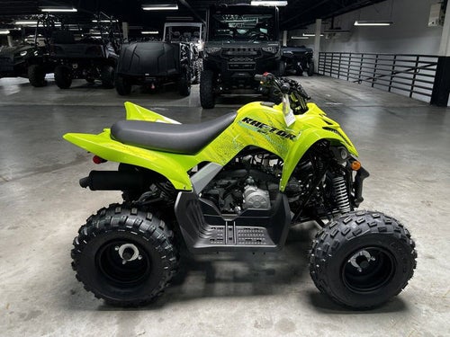 2026 Yamaha Raptor 110