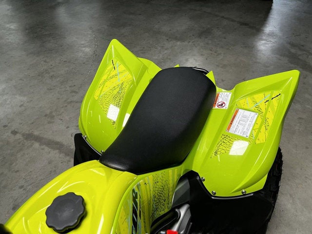 2026 Yamaha Raptor 110