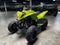 2026 Yamaha Raptor 110
