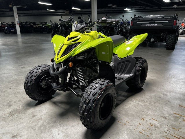2026 Yamaha Raptor 110