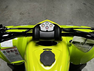 2026 Yamaha Raptor 110
