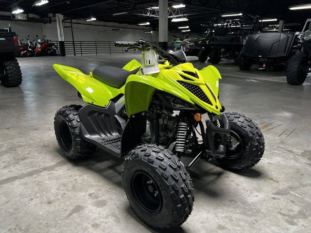 2026 Yamaha Raptor 110