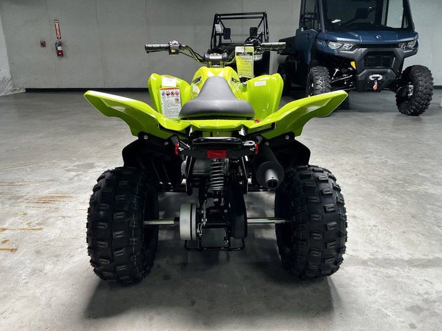 2026 Yamaha Raptor 110