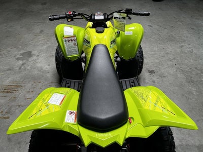 2026 Yamaha Raptor 110