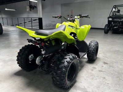 2026 Yamaha Raptor 110