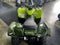 2026 Yamaha Grizzly 110