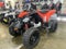 2026 Can-Am DS 250 Base
