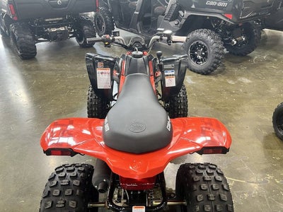 2026 Can-Am DS 250 Base
