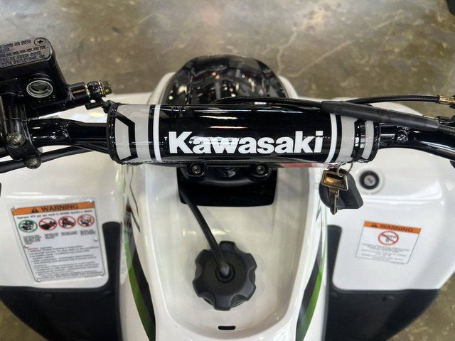 2026 Kawasaki KFX 50