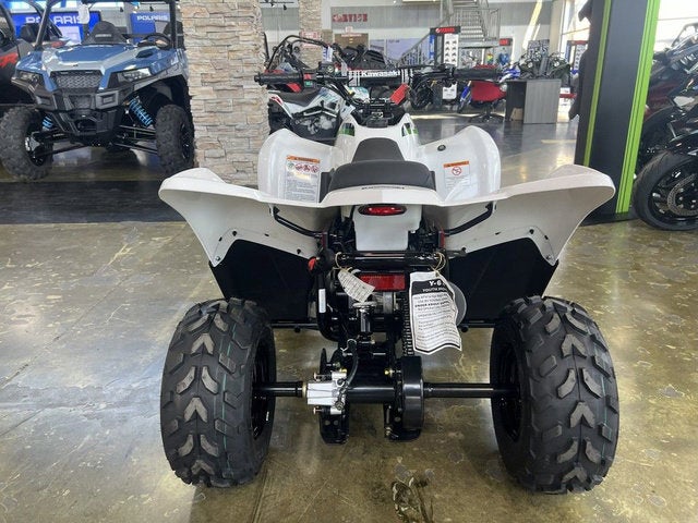 2026 Kawasaki KFX 50