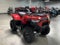 2026 Kawasaki Brute Force 300
