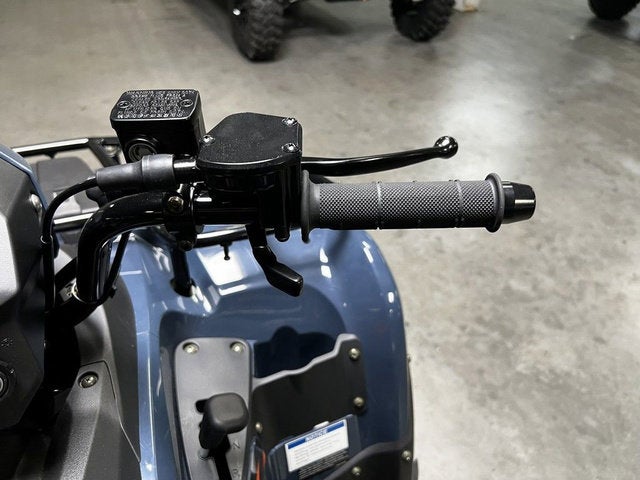 2026 Kawasaki Brute Force 300