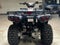 2026 Kawasaki Brute Force 300