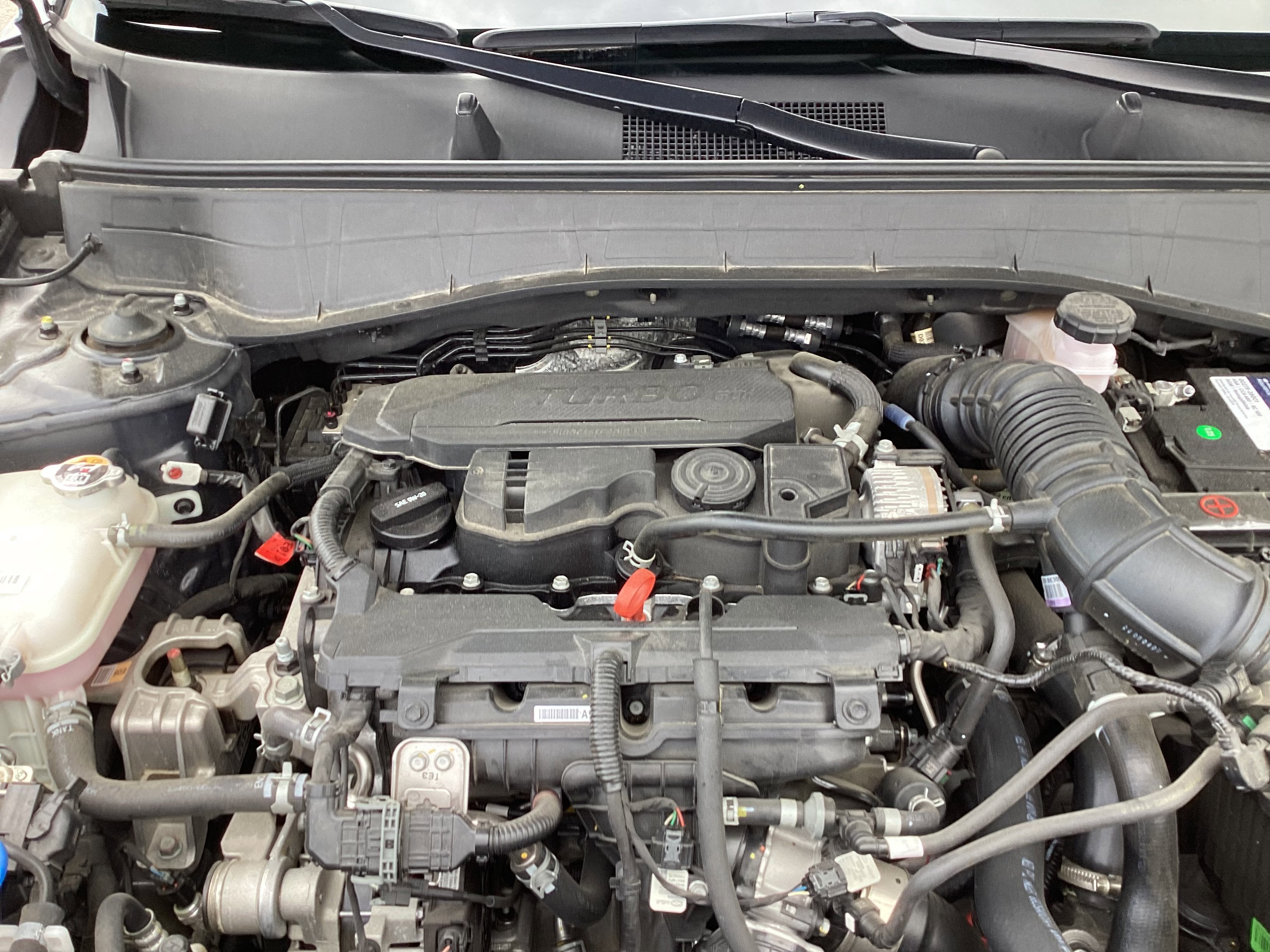 2025 Hyundai Kona Limited